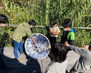 solarcooker