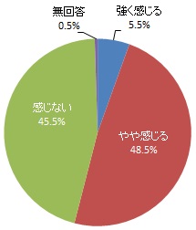 中心市街地へ行くことの魅力（グラフ）