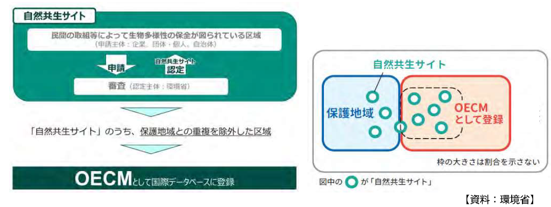 自然共生サイトとOECM