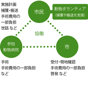 野良猫不妊手術事業を利用するときの流れ