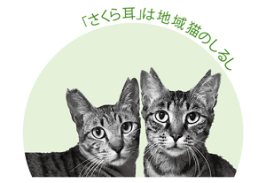 野良猫に困っている人へ