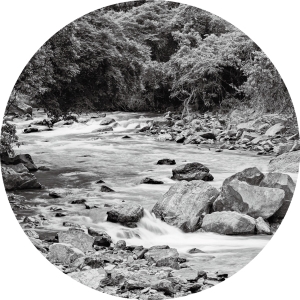 清流（都田川）