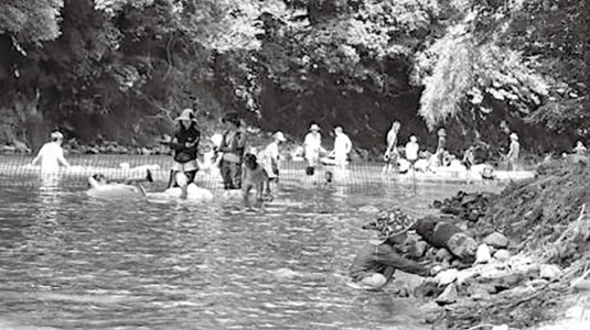 「都田川の水遊び」