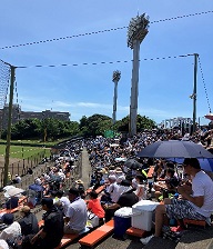 佐高2