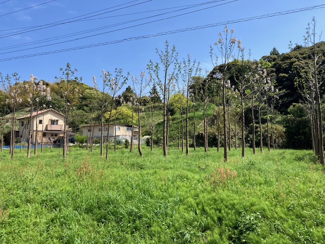 waegiri