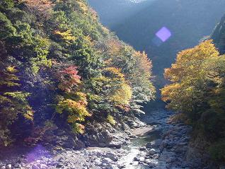 明神峡の紅葉