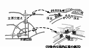 景観回廊