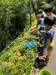 草木染め