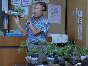 いろいろなマイ畑紹介