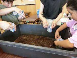牛乳パック鉢に土入れ