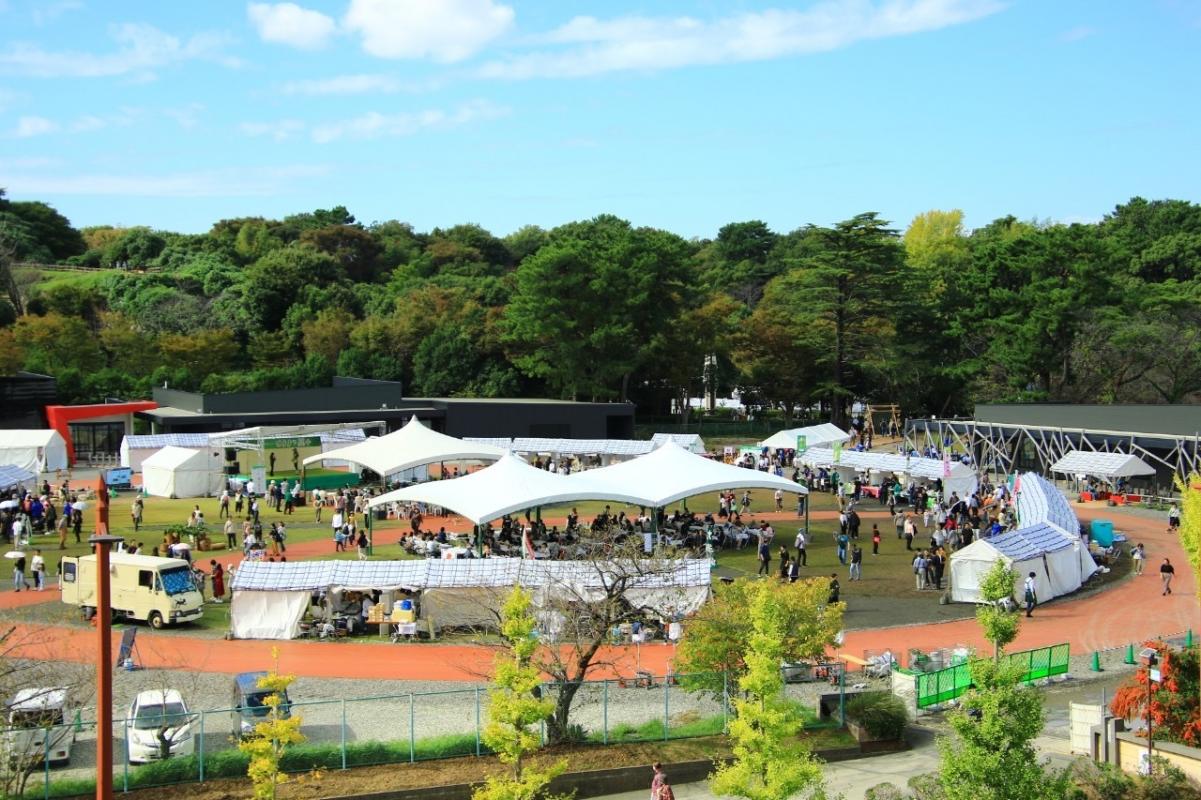 kaizyou