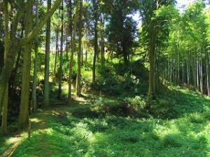 kawahira2