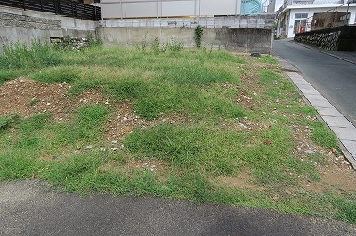 05_02_zenkei_kamoe_419-98_picture2-2