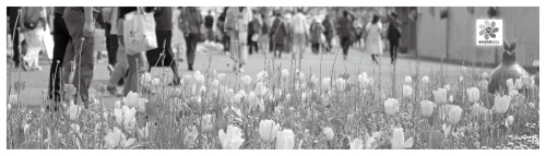 花と緑の祭典「浜名湖花博2024」が開催