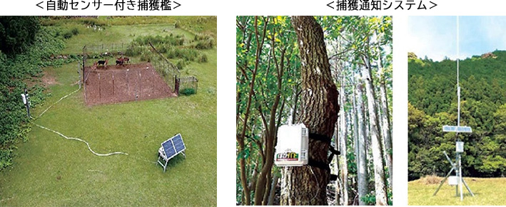 自動センサー付き捕獲檻　捕獲通知システム
