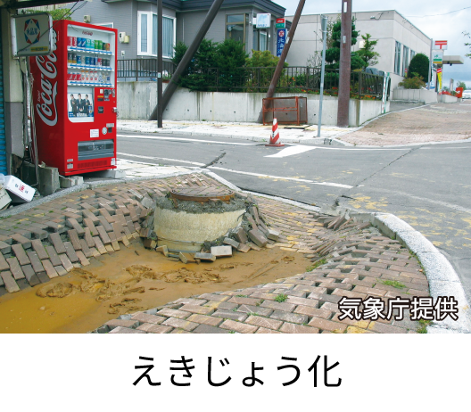 えきじょう化