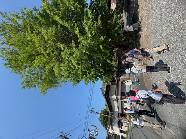 渋川つつじまつり歴史ウォークR8