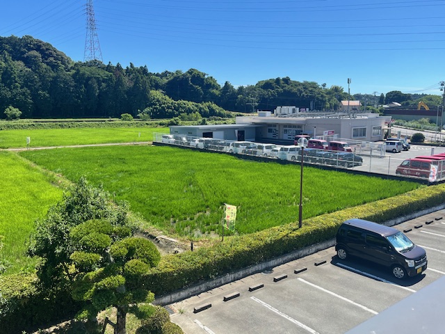 田んぼ