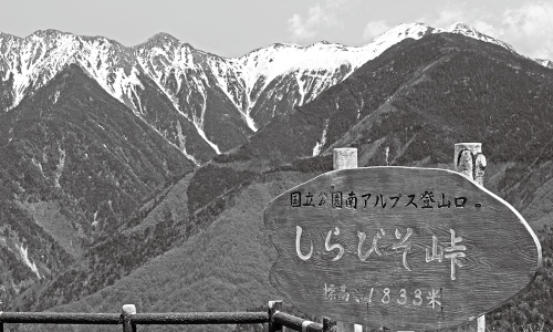 しらびそ峠から南アルプスを望む
