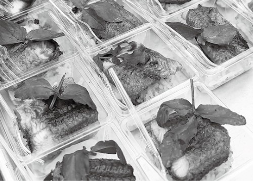 提供された料理