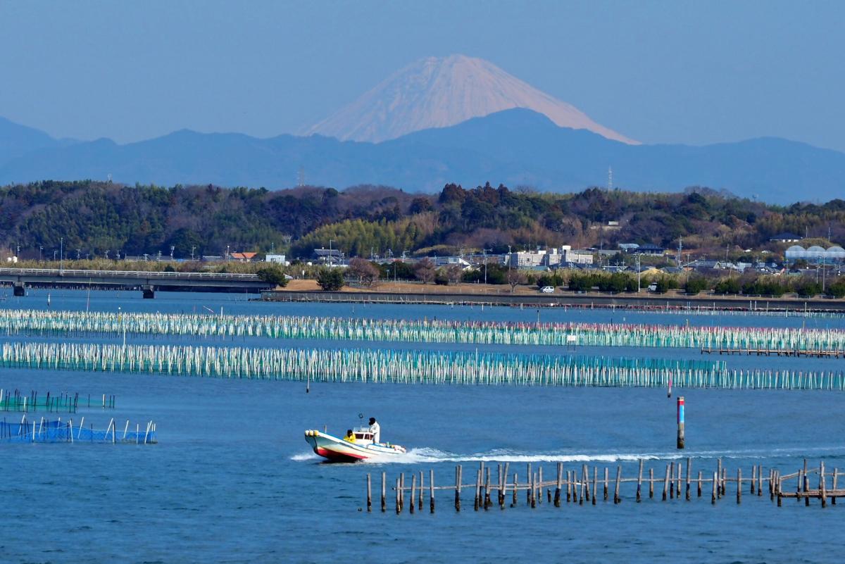 浜名湖のり
