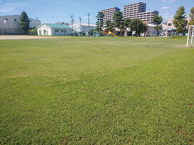 芝生化されたグラウンド(佐藤小学校)