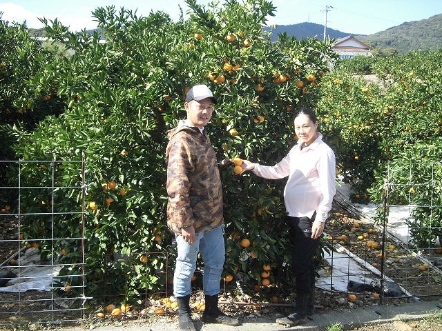 みかん農家山本さん