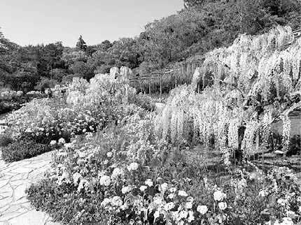 スマイルガーデン