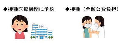 接種医療機関に予約／接種（全額公費負担）