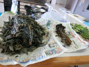 藍の乾燥葉と生葉を皆さん初めて目にしました