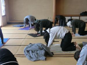 怒った猫のポーズ