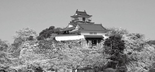 浜松城公園の桜