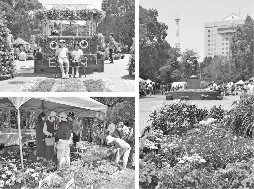 花と緑が彩る花交流フェア