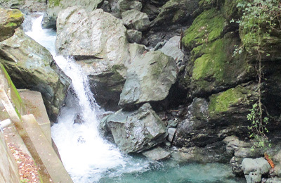 岩明水道組合の水源(龍山地区)