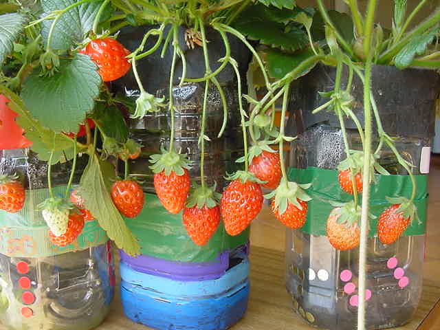 takemura3