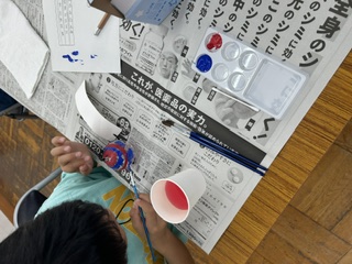 furin3