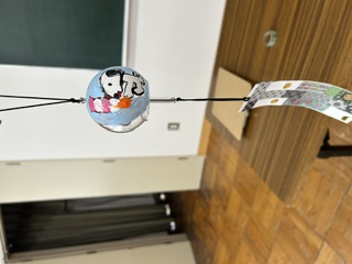 furin4