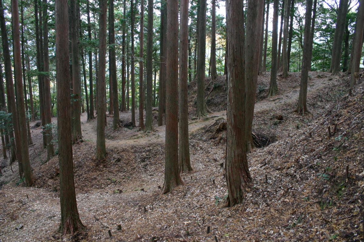 inuicastle_horikiri