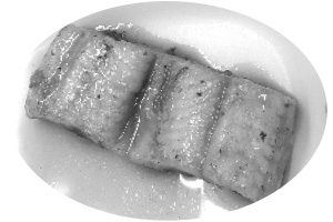 浜名湖の特産物として有名な「浜名湖うなぎ」が給食に登場!