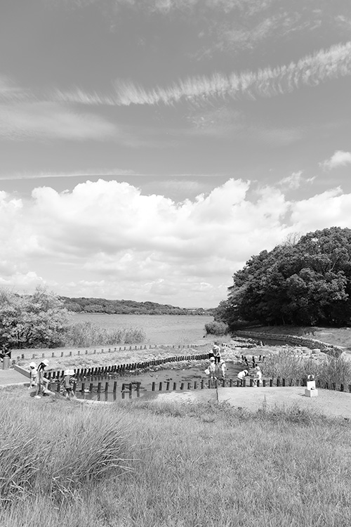 ～佐鳴湖公園（中央区入野町ほか）～