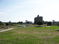 馬込川上島緑地