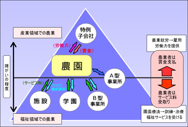 浜松モデル体系図