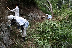 写真：鳥羽山城石垣2