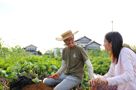 有機野菜農家長谷川