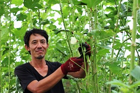 玄人野菜農家・鈴木さん