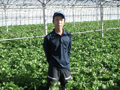 セルリー農家高橋さん