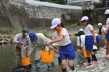 清流のまち浜松の魚心水心2-6