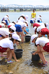 清流のまち浜松の魚心水心3-5