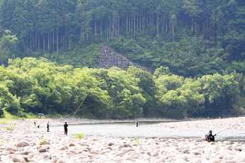 清流のまち浜松魚心水心4-2