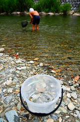 清流のまち浜松魚心水心6-4